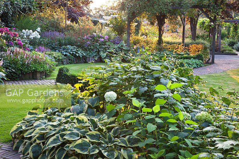 Perennials as ground cover 