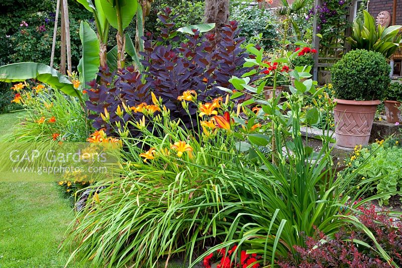 Exotic planting 