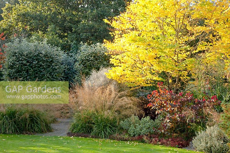 Bed with shrubs, grasses and antler tree 