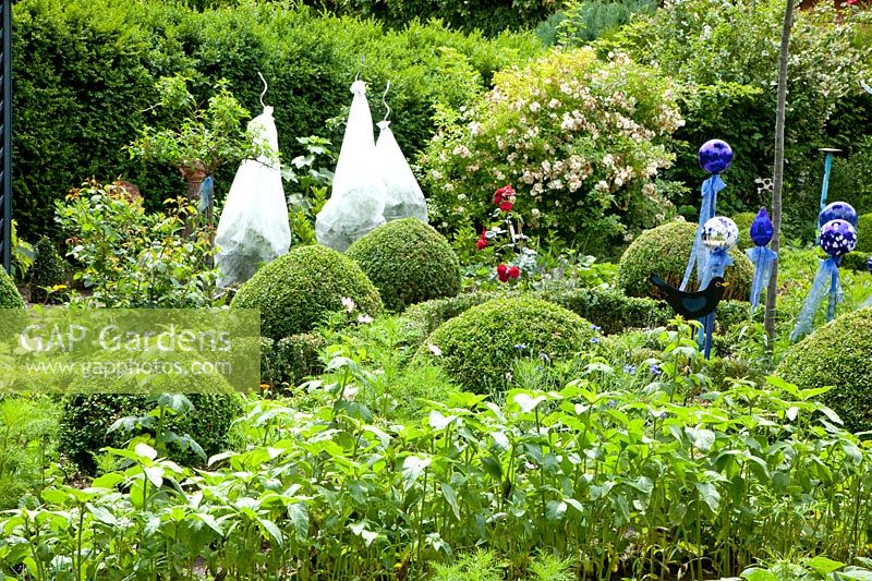 Rural kitchen and farm garden 