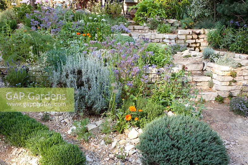 Mediterranean herb garden 