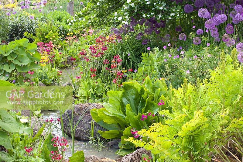 Stream with shore plants and primroses 