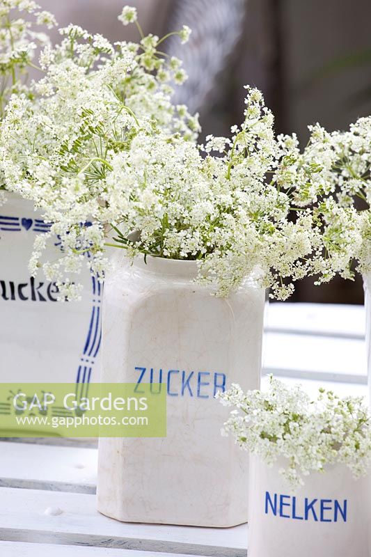 Antique storage jars with cow parsley 