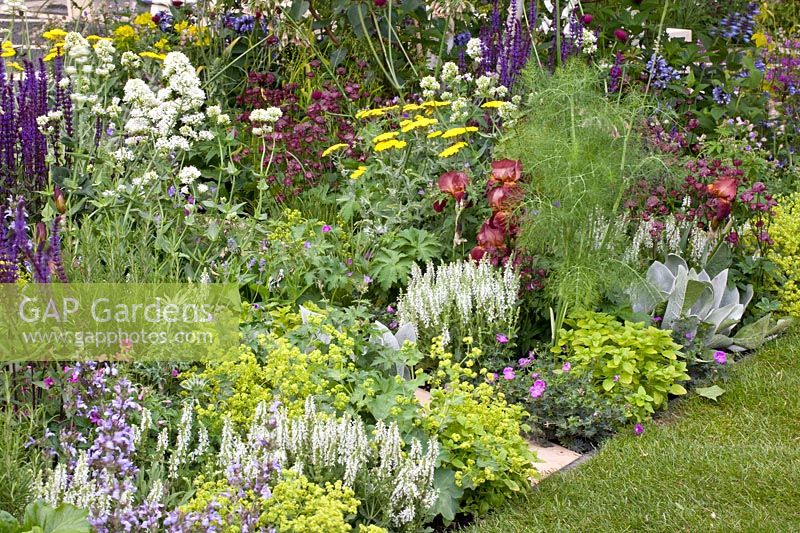 Perennial planting 