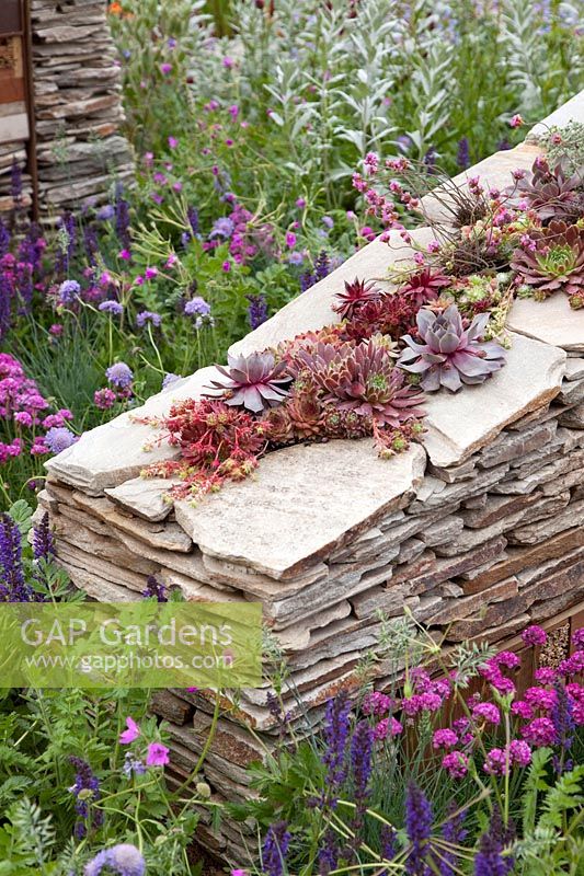 Natural garden with stone wall 