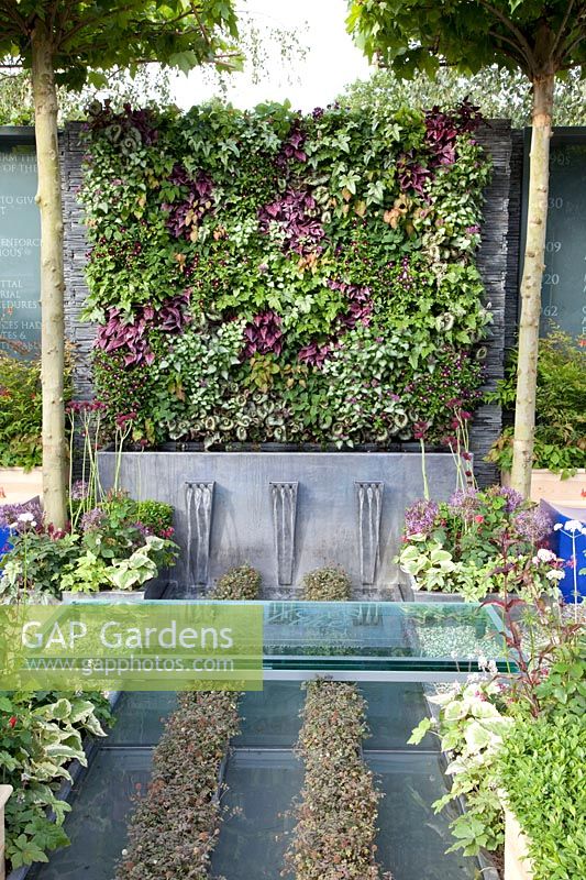 Small garden with vertical planting wall 