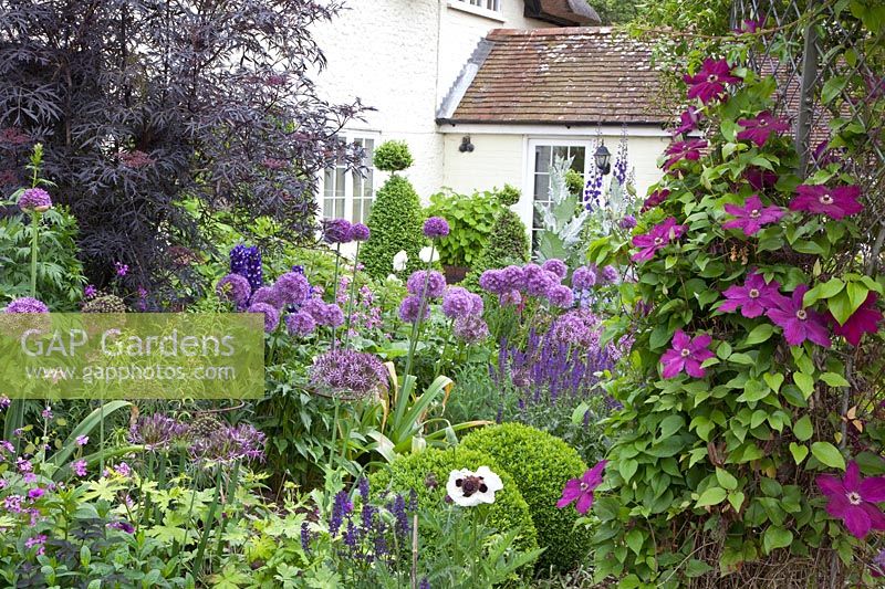 Cottage garden 