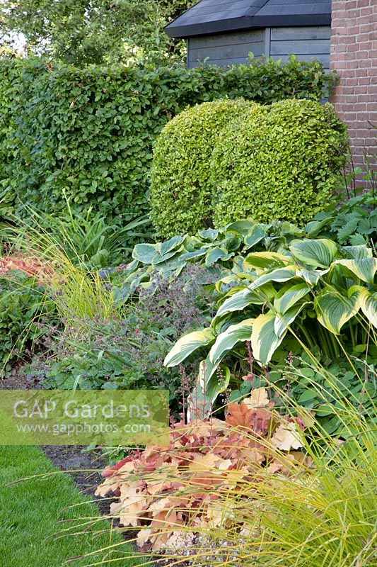 Front garden with ornamental foliage plants 