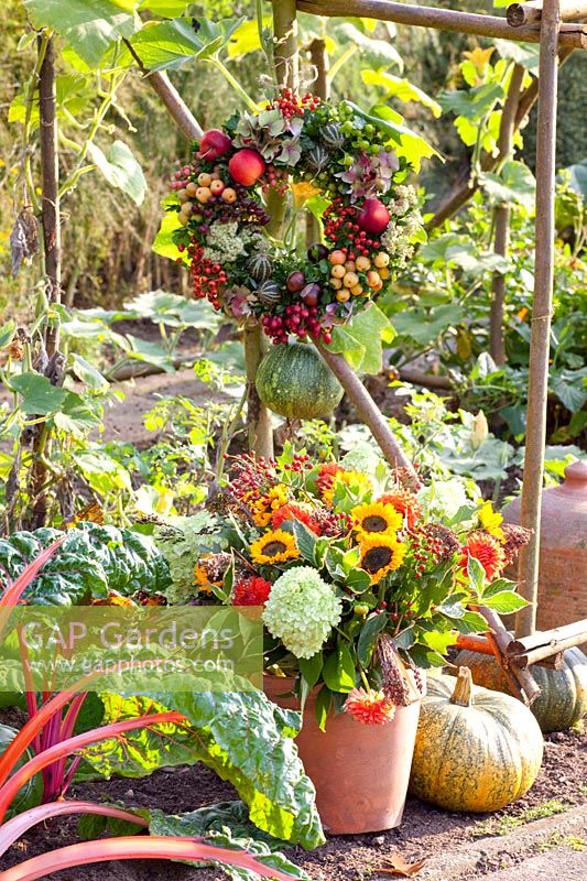 Autumnal still life in the Potager 