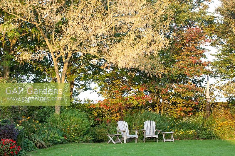 Garden view with ash-leaved maple, Acer negundo Flamingo 