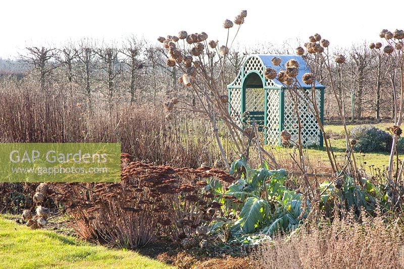 Perennial bed in winter, Sedum Matrona, Cynara 