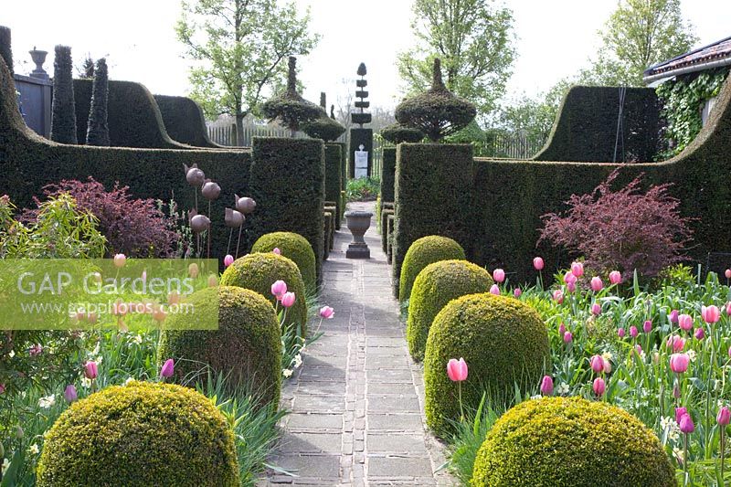 Formal garden with tulips and daffodils, Tulipa Pink Impression, Tulipa Pink Diamond, Tulipa Rosalie, Tulipa Violet Beauty, Narcissus Bellsong 
