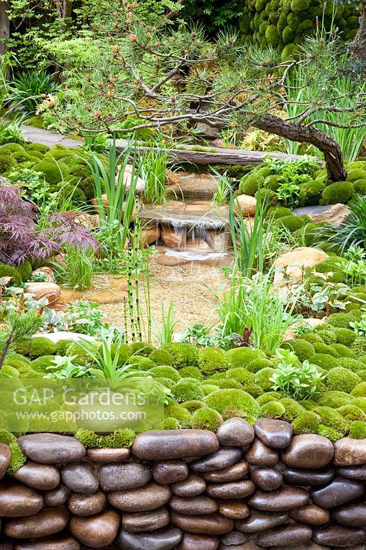 Asian garden with stream 