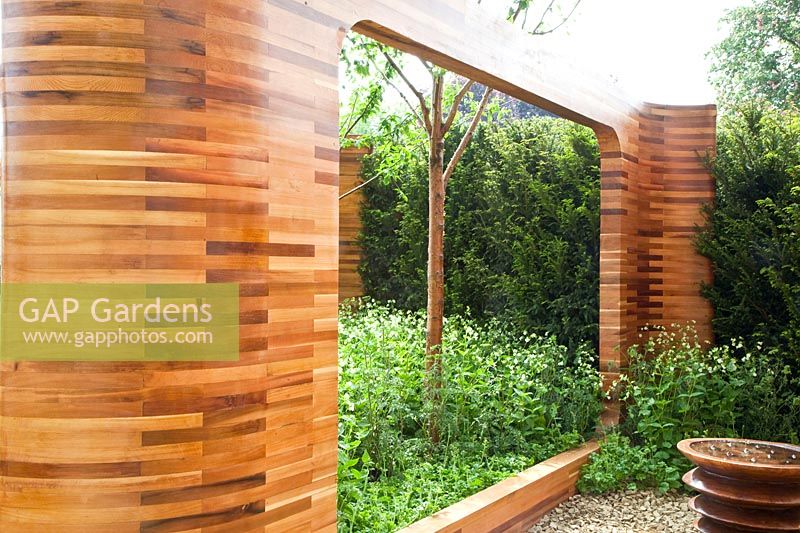 Ornamental wooden arches made of red cedar in the garden, Prunus maackii Amber Beauty; Silene fimbriata 