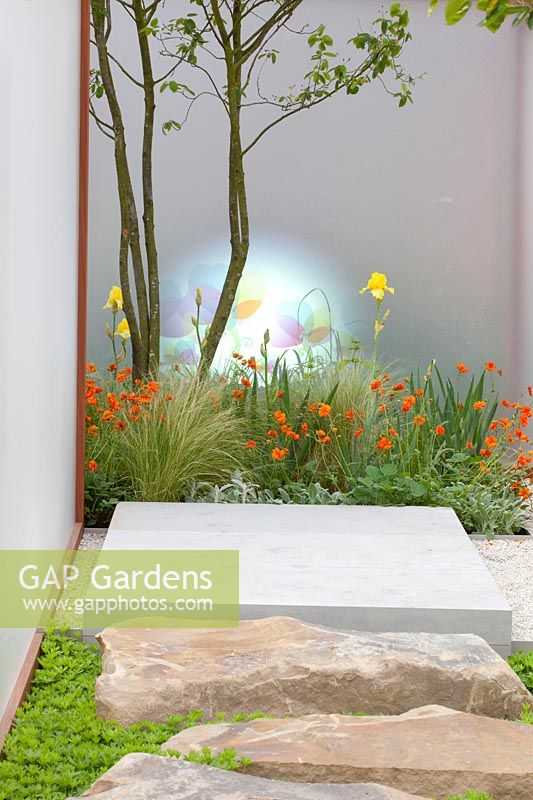 Modern small garden with background projection,Geum, Stipa tenuissima,Iris 