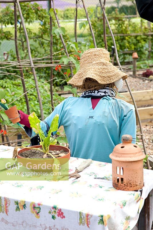 Bizarre scarecrows in the vegetable garden 