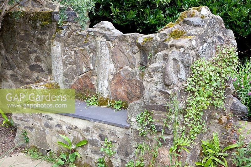 Ruined bench in the garden 