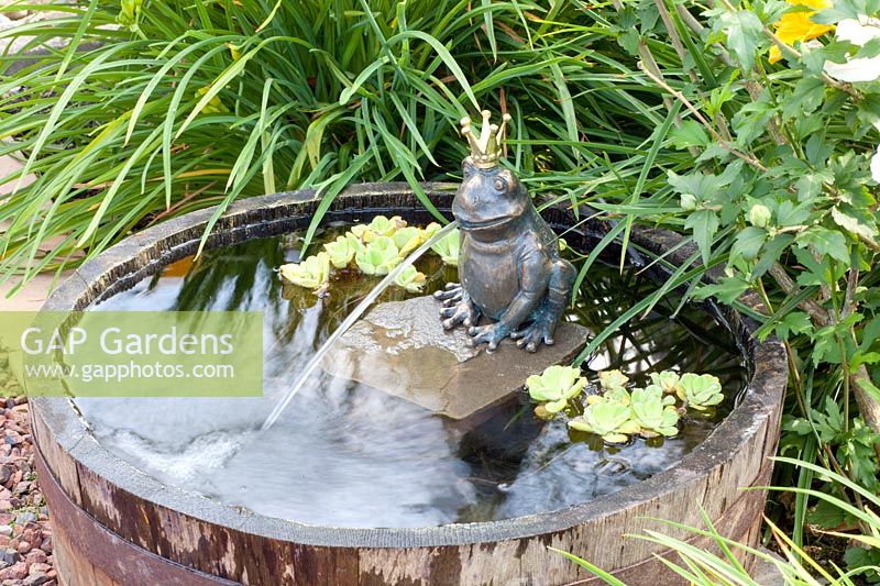 Mini pond with frog as gargoyle 