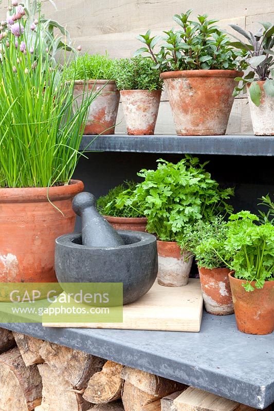 Outdoor kitchen with herb pots 