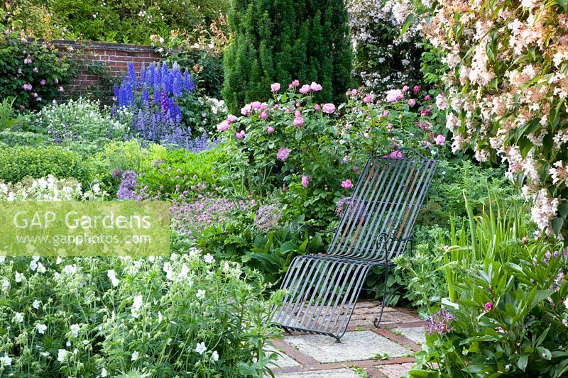 Seating in the rose garden, Rosa Mary Rose, Geranium pratense Album, Delphinium, Kolkwitzia amabilis 