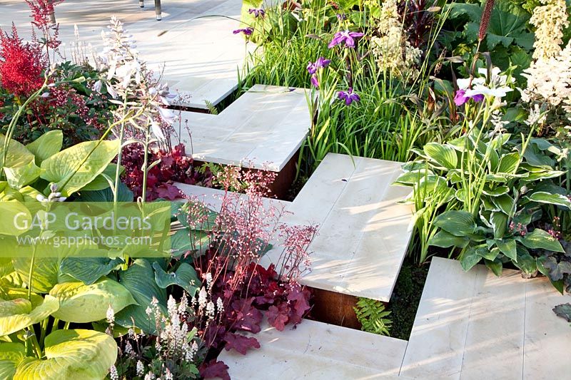 Stairs on the terrace, Heuchera, Astilbe, Hosta 