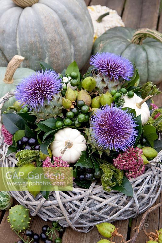 Arrangement with Cucurbita pepo, Prunus laurocerasus, Sedum, Cynara, Paulownia 