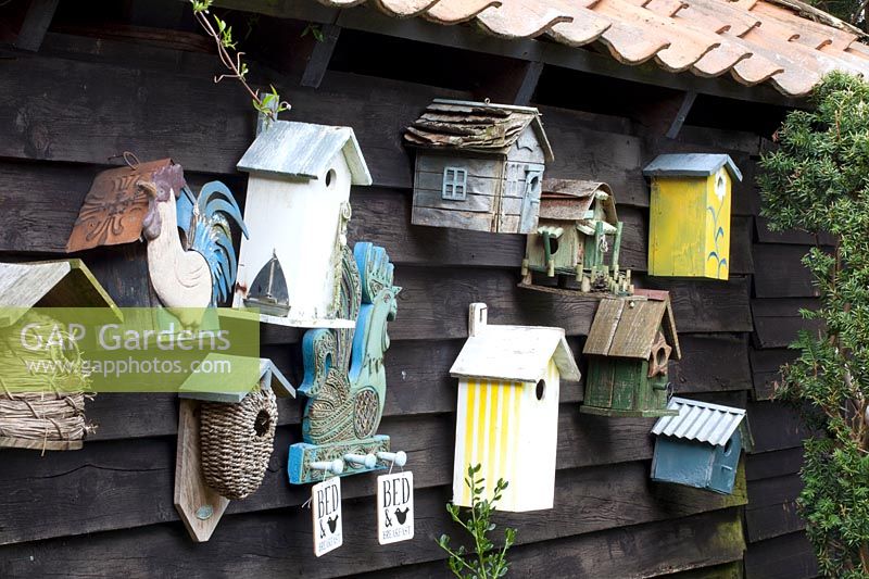 Still life birdhouses 
