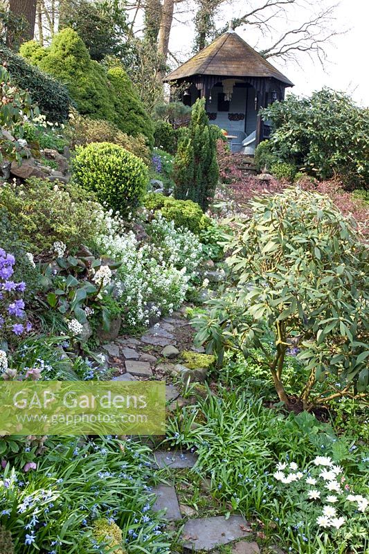 Garden with gazebo, Arabis suendermanii, Chionodoxa forbesii, Scilla siberica, Rhododendron, Anemone blanda White Splendour 