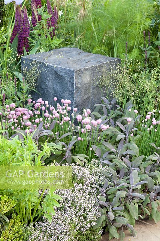 Modern garden,Allium schoenoprasum; Salvia officinalis Purpurascens; Thymus 