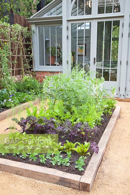 Bed with Vicia faba, Brassica oleracea, Pisum sativum 