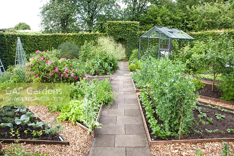 Vegetable garden with greenhouse, vegetables and herbs, Lactuca sativa, Pisum sativum, Brassica oleracea 