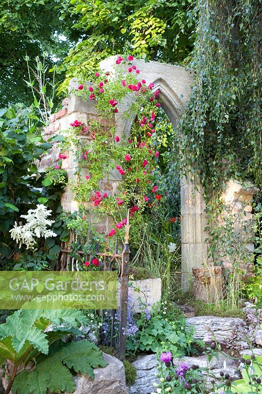 Ruin Arch with Rose, Pink 