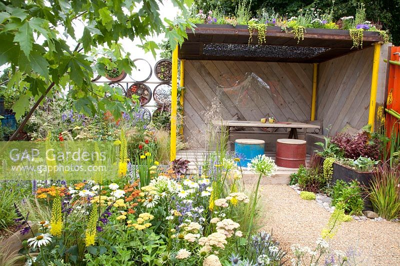 Modern garden with recycled oil drums, Eremurus, Agapanthus White Heaven, Leucanthemum Sunny Side Up, Orlaya grandiflora, Eryngium zabelii Jos Eijking, Echinacea purpurea White Swan, Salvia Amistad, Achillea Coronation Gold, Achillea Feuerland, Agastache Blue Fortune 