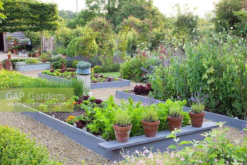 Modern kitchen garden with Allium schoenoprasum, Lactuca sativa Little Gem, Lactuca sativa Lollo Rosso, Pisum sativum Carouby de Maussane 