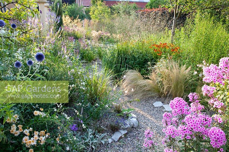 Gravel garden with Nassella tenuissima, Stipa tenuissima, Phlox paniculata Bright Eyes, Gaura lindheimeri Whirling Butterflies, Echinacea purpurea White Swan, Helenium Sahin's Early Flowerer, Molinia arundinacea Transparent, Echinops ritro Veitch's Blue 