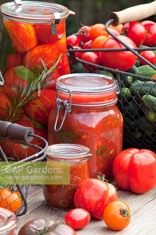 Pickled tomatoes and tomato sauce with basil, Solanum lycopersicum 