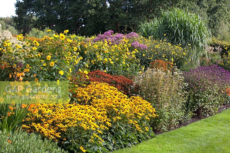 Bed with Helenium Hot Lava, Crocosmia Okavango, Rudbeckia fulgida Goldsturm, Monarda fistulosa Snow Queen, Monarda fistulosa Saxon Purple, Helianthus decapetalus Capenoch Star, Miscanthus giganteus 