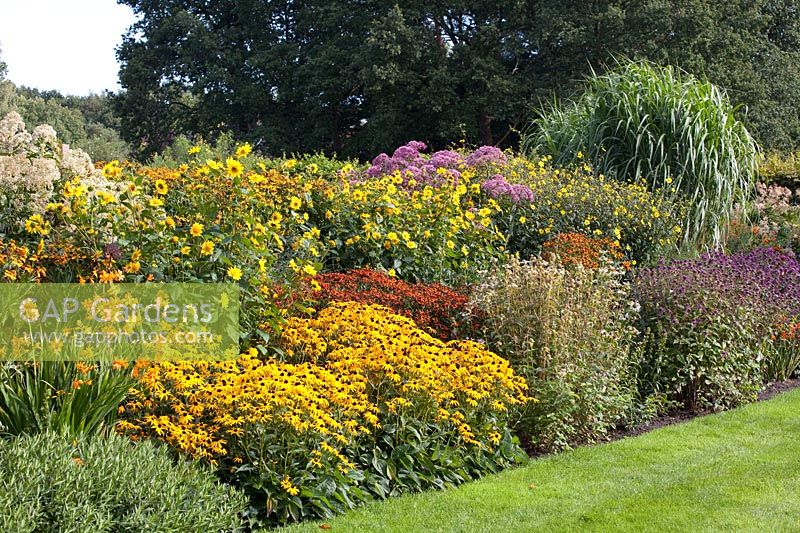 Bed with Helenium Hot Lava, Crocosmia Okavango, Rudbeckia fulgida Goldsturm, Monarda fistulosa Snow Queen, Monarda fistulosa Saxon Purple, Helianthus decapetalus Capenoch Star, Miscanthus giganteus 