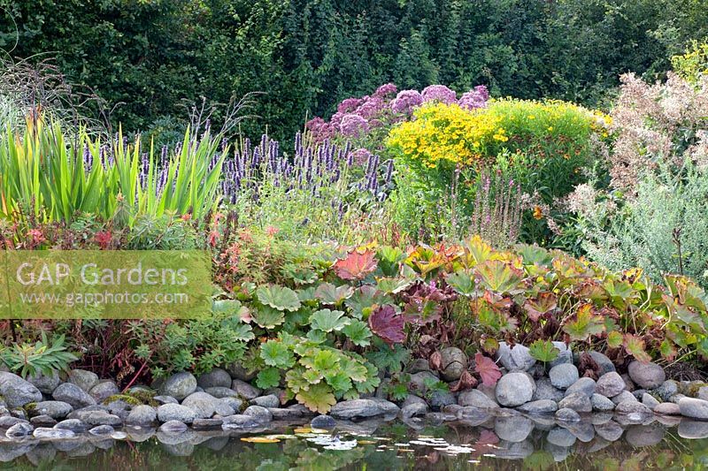 Pond bank with perennials, Darmera peltata, Crocosmia, Helenium, Eupatorium fistulosum giant umbrella, Euphorbia 