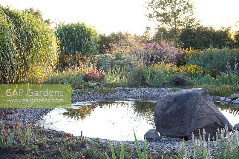 Pond in the evening light, Miscanthus, Stipa gigantea, Eupatorium fistulosum giant umbrella 