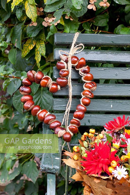 Heart-shaped wreath of chestnuts, Aesculus hippocastanum 