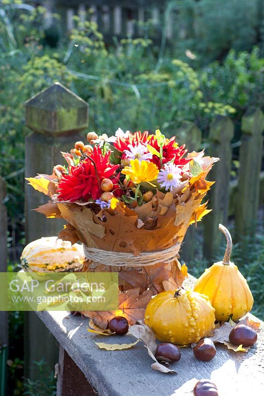 Bouquet of flowers in a vase wrapped with oak leaves, Quercus rubra, Dahlia, Aster, Calendula, Malus, Cucurbita pepo 