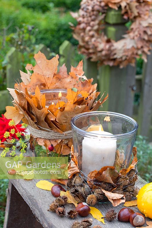 Glasses wrapped with oak leaves and beech nuts as a lantern, Quercus rubra, Fagus sylvatica 