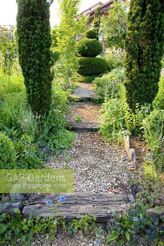 Path in the garden 