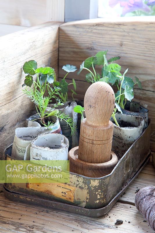 Pot press for paper pots 