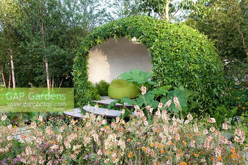 Modern garden with green arbor, Verbascum, Geum Totally Tangerine, Astrantia major Star of Beauty 