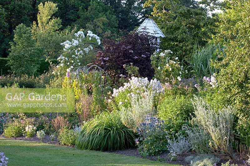 Rosa, Campanula lactiflora Avalanche, Artemisia, Geranium, Eryngium zabelii 