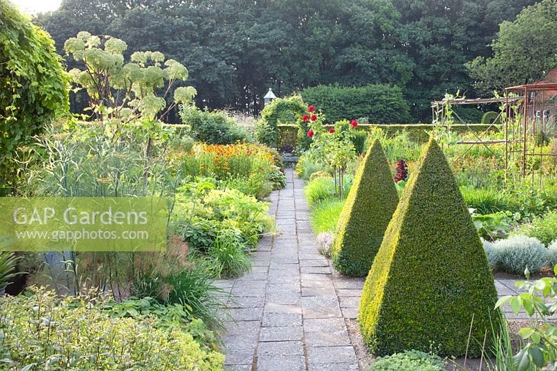Cottage garden with vegetables and herbs, Buxus, Angelica archangelica 