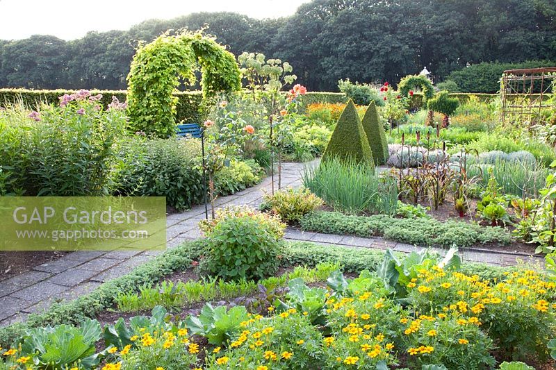 Farm garden with vegetables and herbs 