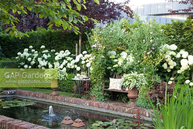 Arbor with sweet peas and hydrangeas, Lathyrus odoratus, Hydrangea arborescens Annabelle 